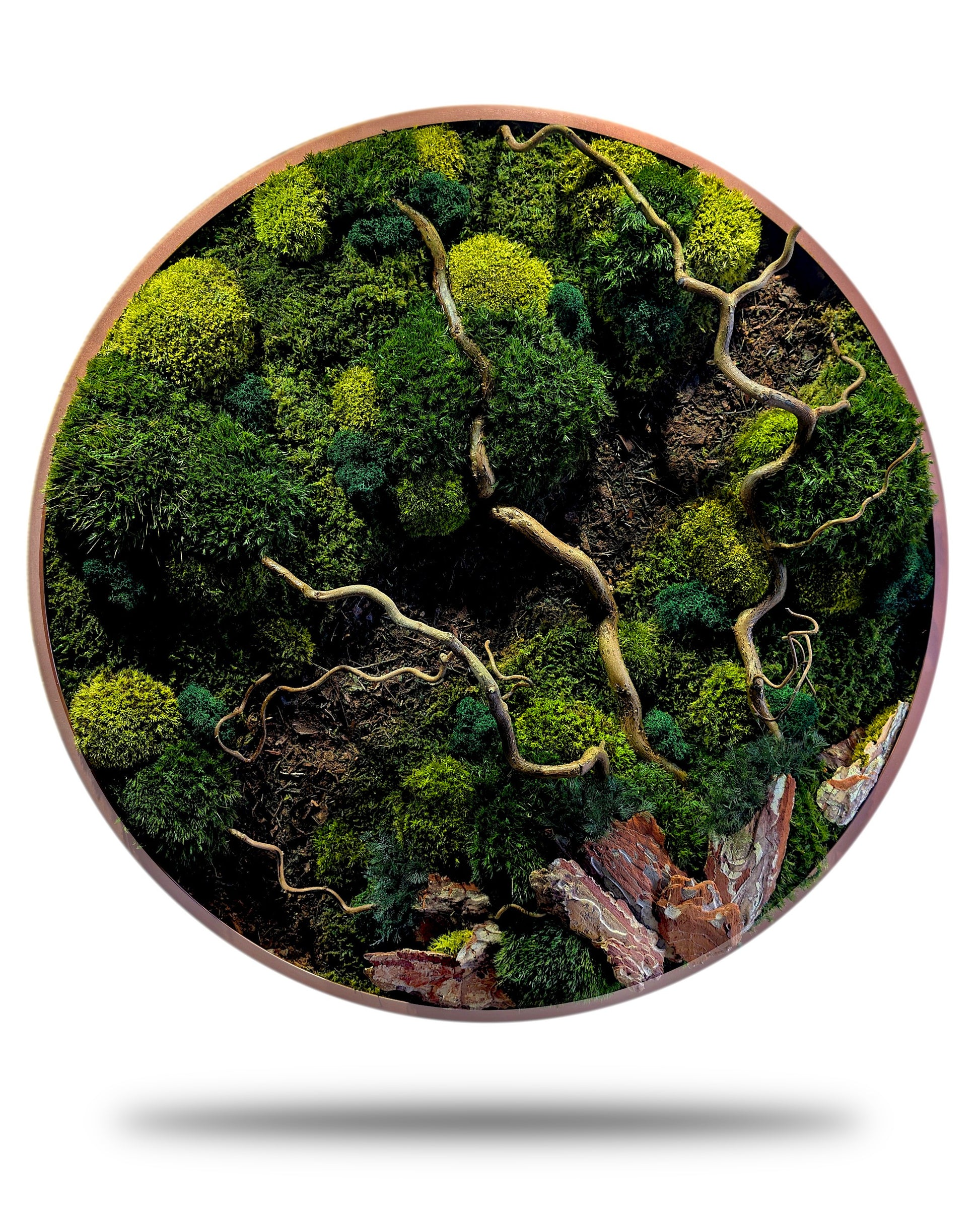 Rundes Moosbild Waldspaziergang mit Korkenzieher-Haselzweigen, runde Form, Grüntöne und gebogene Zweige.