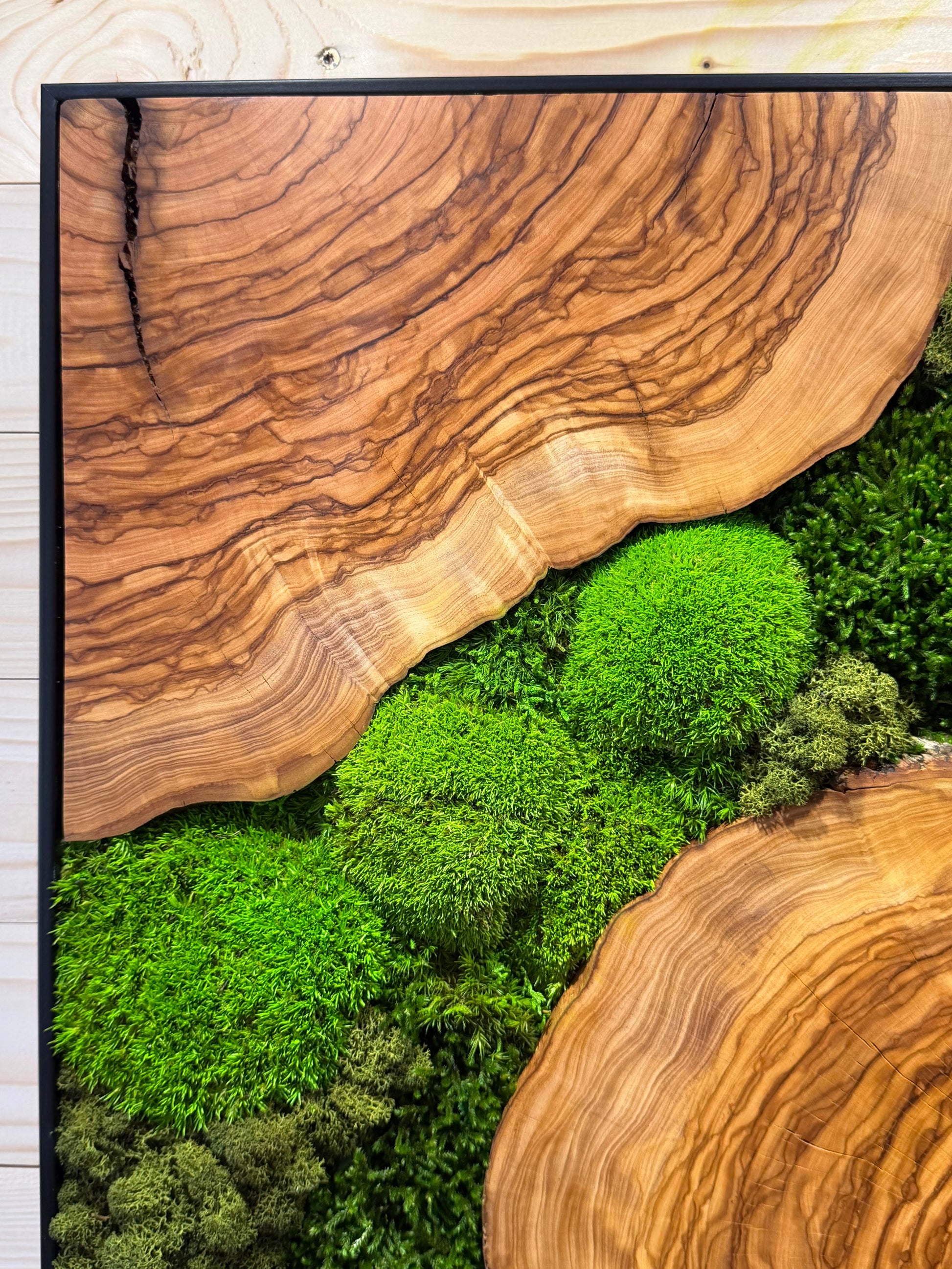 Moosbild mit Olivenholz-Baumscheibe | Natürliches Wandbild aus Holz mit grünem Moos und Olivenholz.