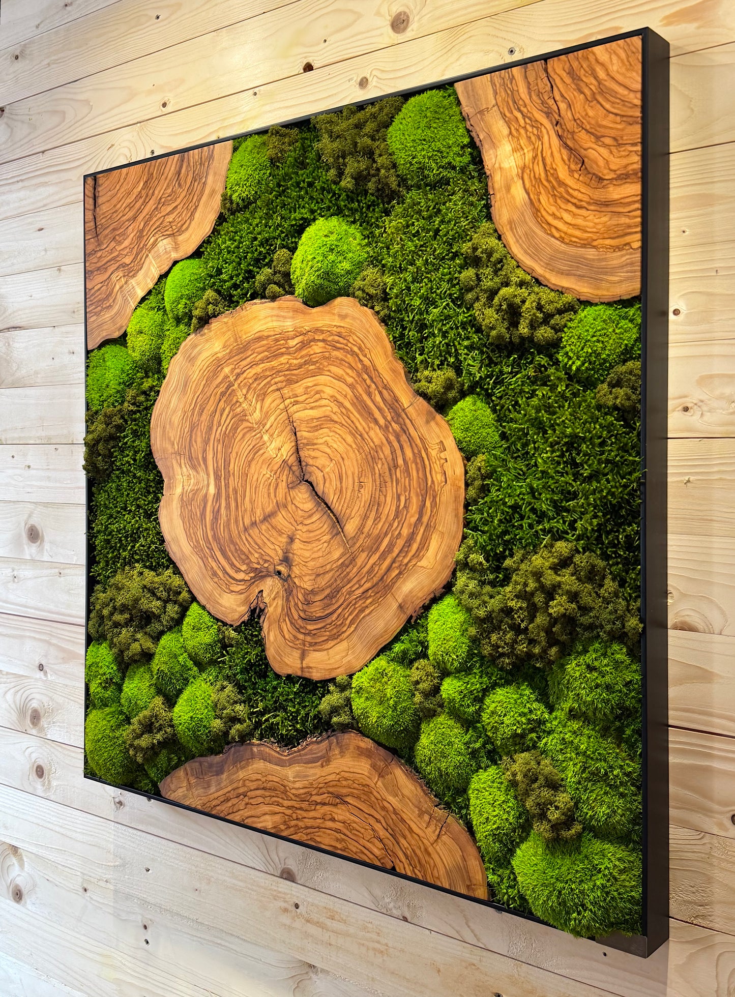 Moosbild mit Olivenholz-Baumscheibe | Natürliches Wandbild aus Holz, einzigartiges Design mit Moos und Olivenholz.