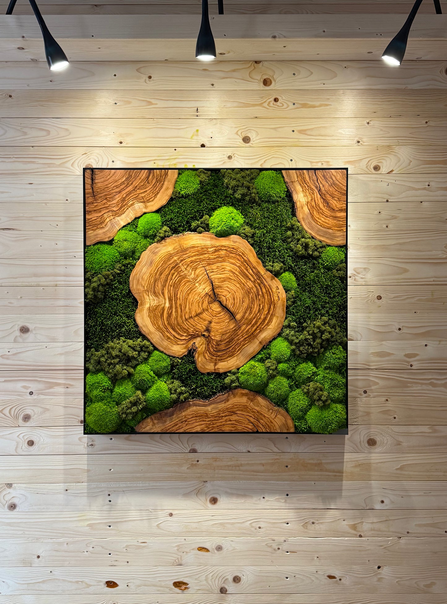 Moosbild mit Olivenholz-Baumscheibe | Natürliches Wandbild aus Holz, einzigartige Kombination aus Moos und Olivenholz.