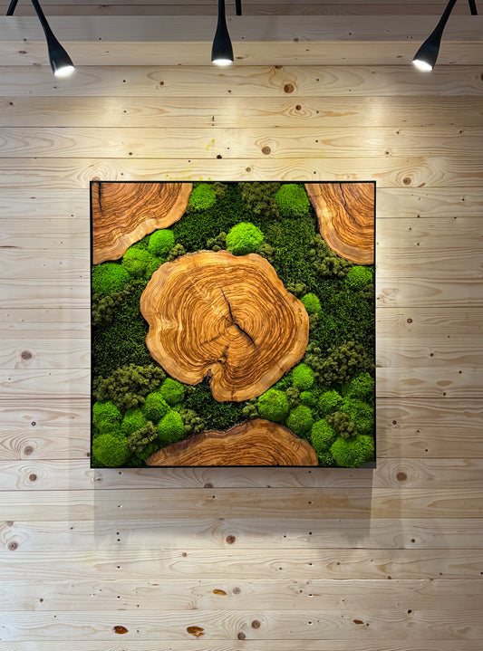 Moosbild mit Olivenholz-Baumscheibe | Natürliches Wandbild aus Holz, einzigartige Kombination aus Moos und Olivenholz.