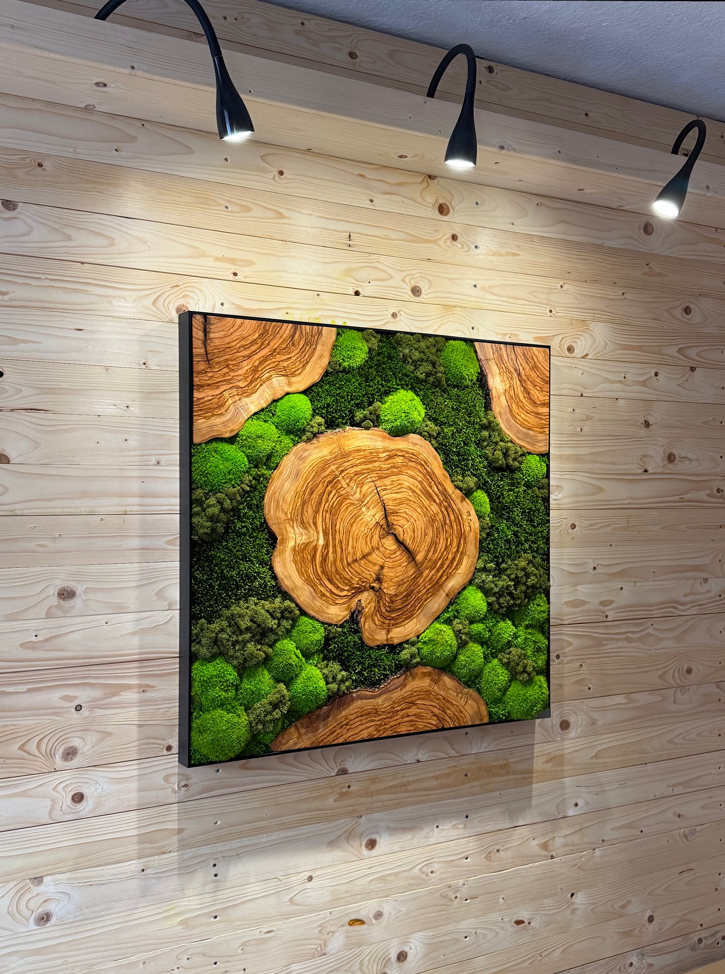 Moosbild mit Olivenholz-Baumscheibe | Natürliches Wandbild aus Holz auf Holzwand mit Beleuchtung.