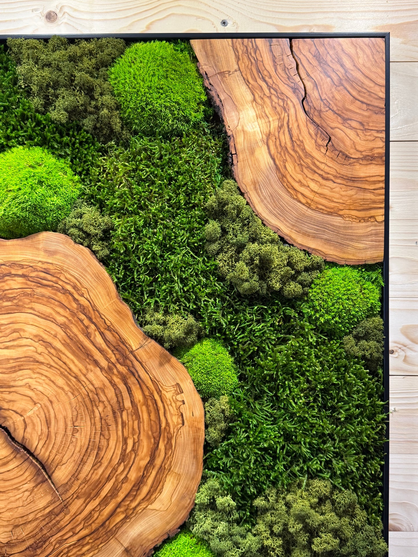 Moosbild mit Olivenholz-Baumscheibe | Natürliches Wandbild aus Holz aus Moos und Olivenholz.