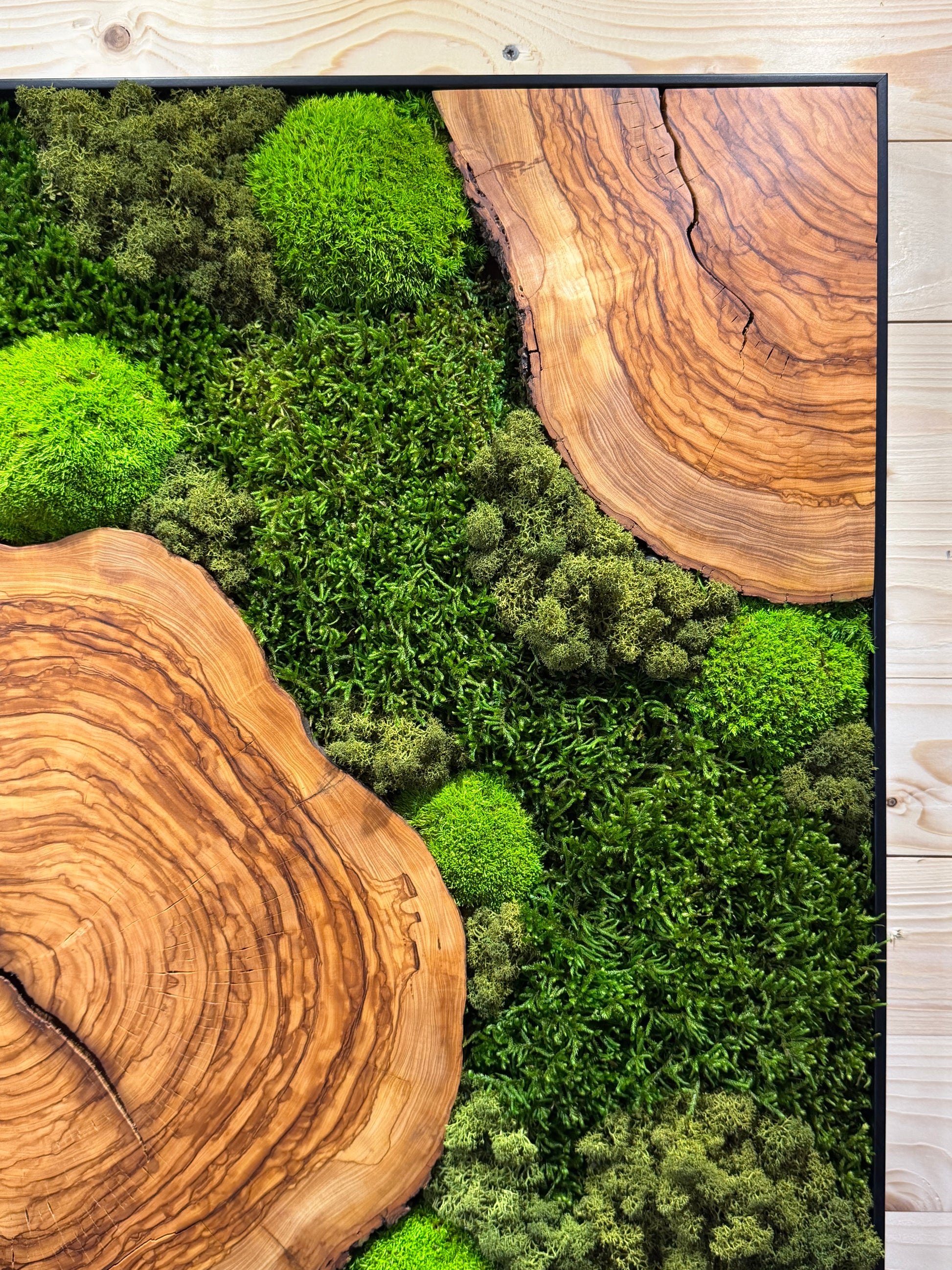 Moosbild mit Olivenholz-Baumscheibe | Natürliches Wandbild aus Holz aus Moos und Olivenholz.