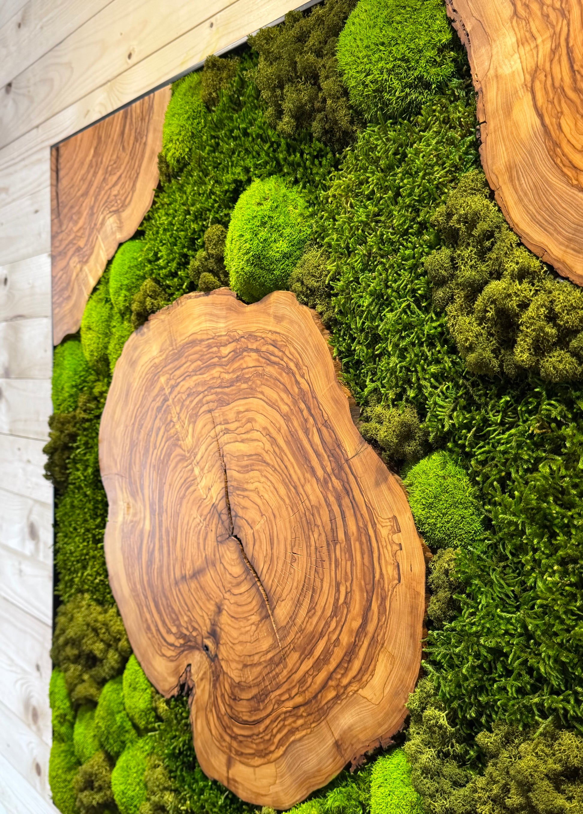 Moosbild mit Olivenholz-Baumscheibe | Natürliches Wandbild aus Holz mit Moos und Olivenholz.