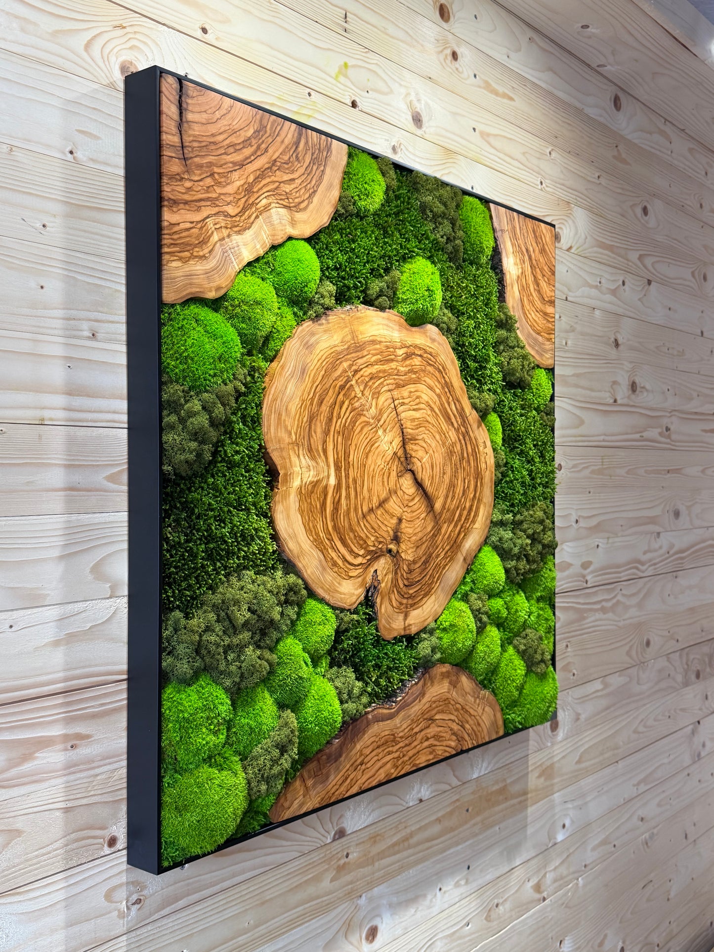 Moosbild mit Olivenholz-Baumscheibe | Natürliches Wandbild aus Holz in Grüntönen und Holzmaserung.