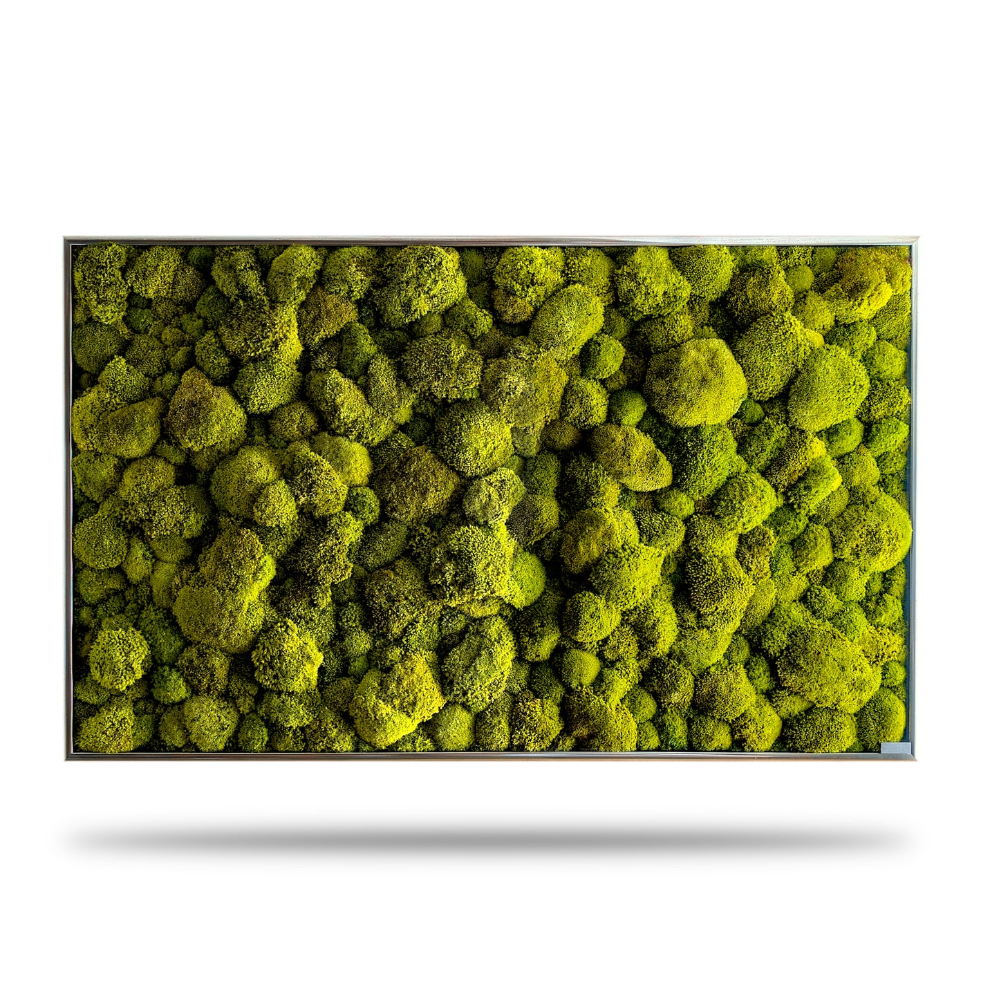 Grande image de mousse sur mesure XXL 'Green Hills' pour le salon et la cuisine - image de plantes en mélange de mousse 120-200cm