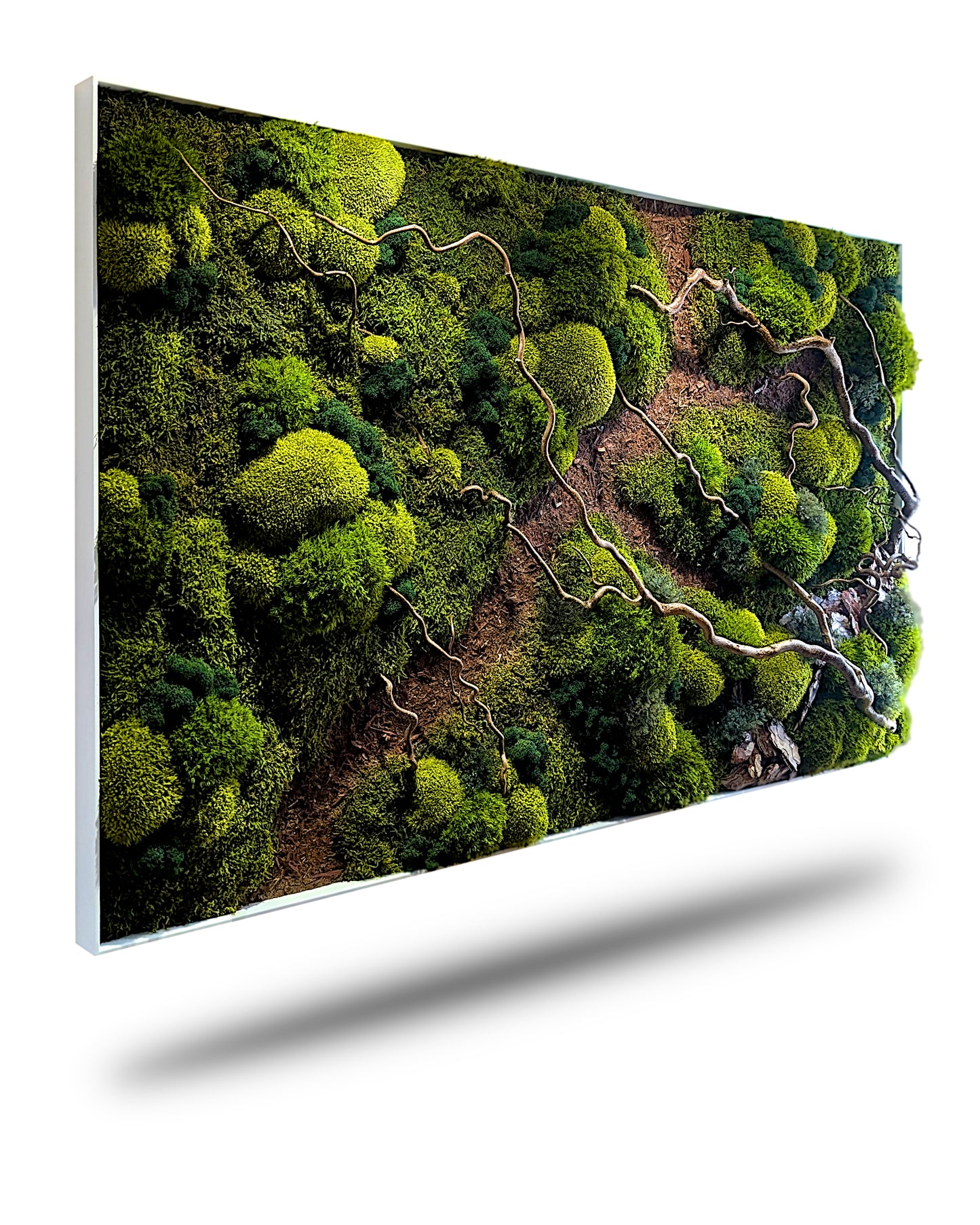 Moosbild "Waldspaziergang" mit Korkenzieher Haselzweigen