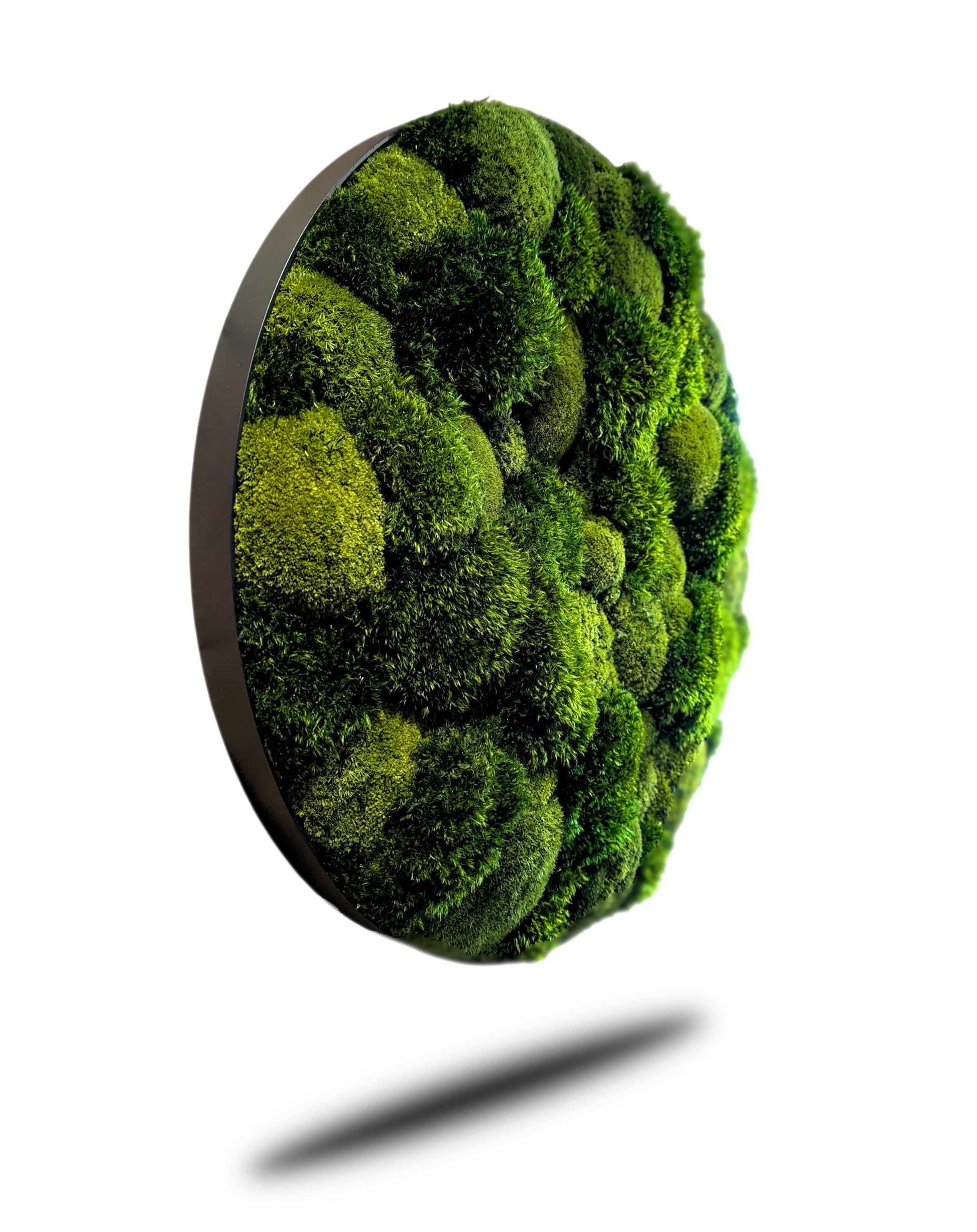 Rundes Moosbild Provence Kugelmoose Mix im stabilen Aluminiumrahmen, lebendige Grünflächen in moderner Form.