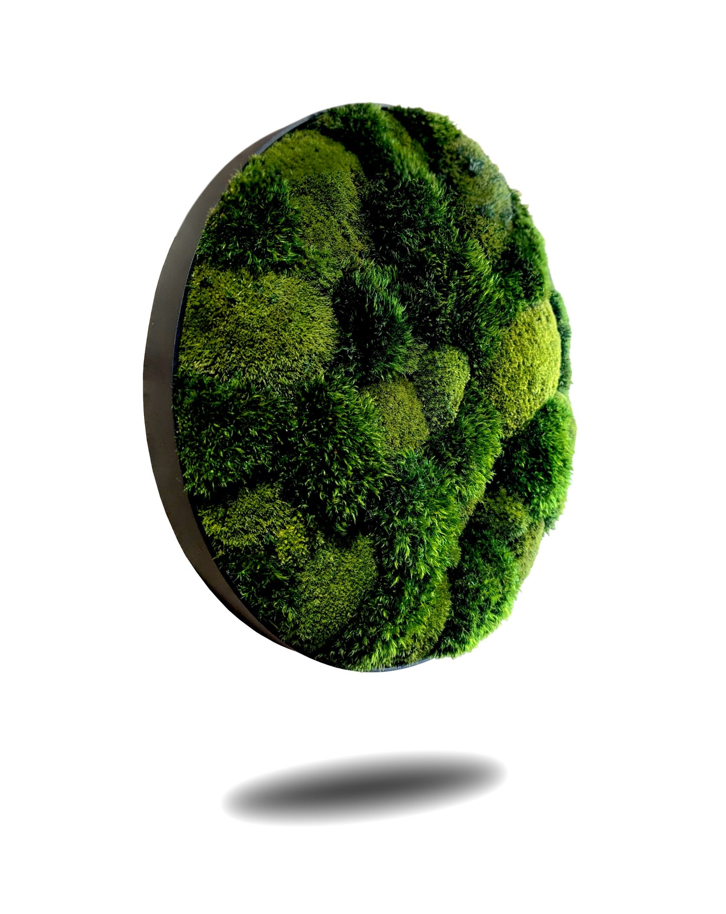 Rundes Moosbild Provence Kugelmoose Mix im stabilen Aluminiumrahmen mit einer naturnahen Moosstruktur.