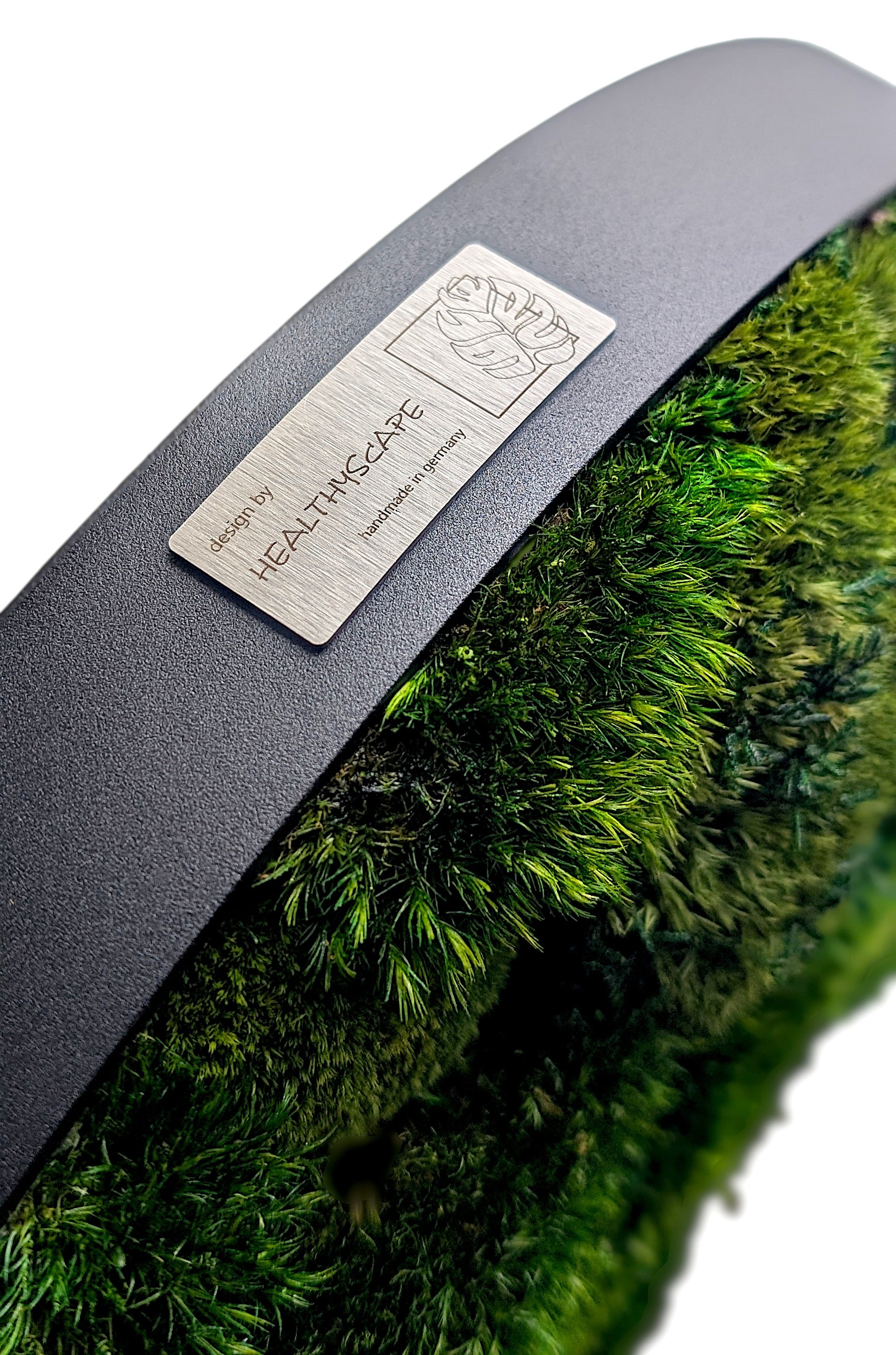 Rundes Moosbild Provence Kugelmoose Mix im stabilen Aluminiumrahmen, detail view of label and green moss texture.