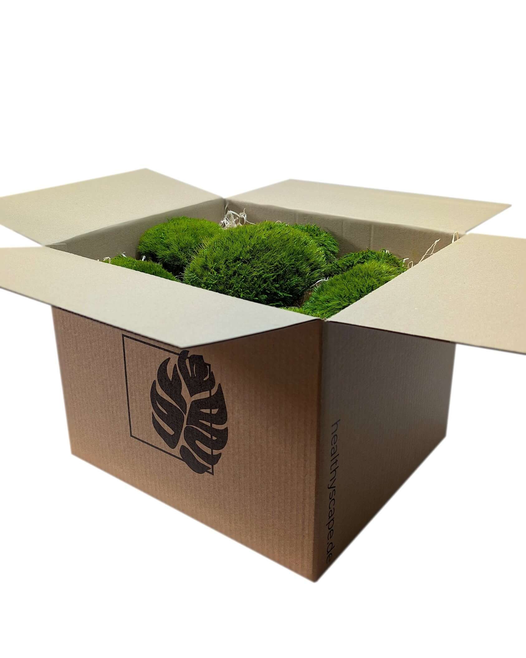 Konserviertes Provence-Moos DIY in einer offenen Kartonbox, bereit für kreative Projekte.
