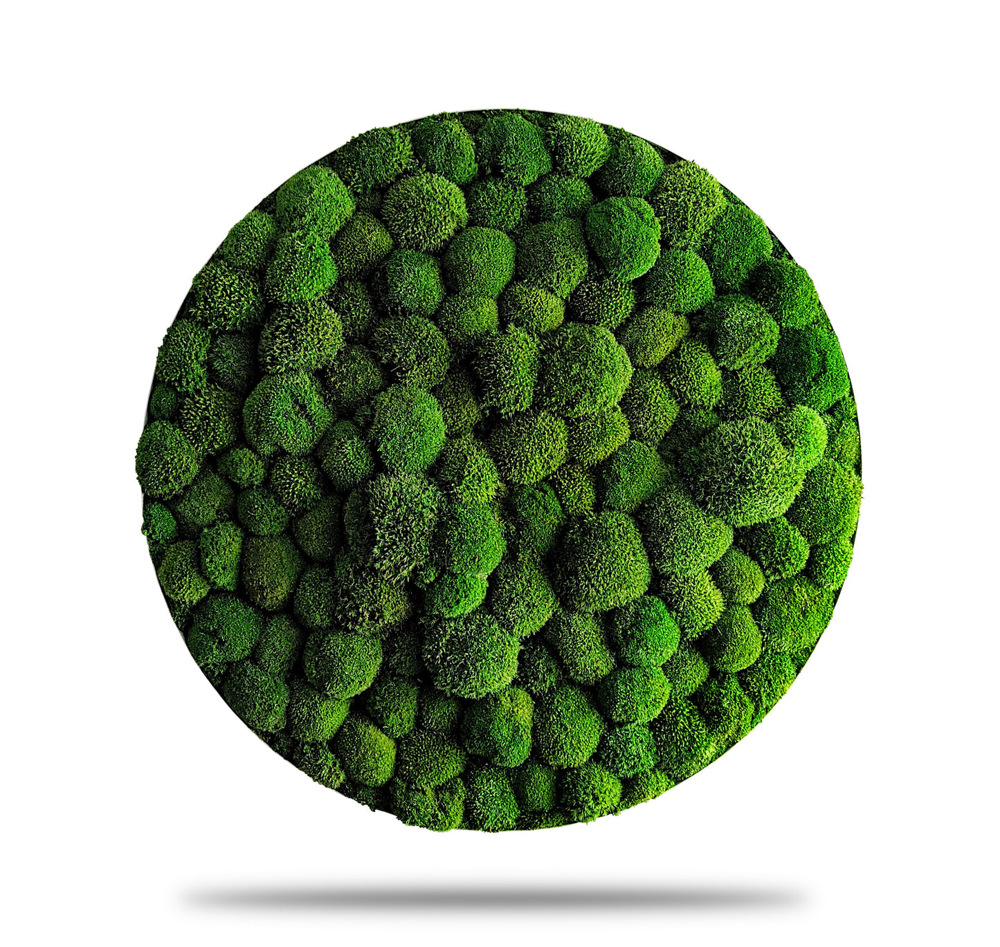 Custom-made round moss pictures set of 3 - wall decoration with aluminum frame (Ø 30-100cm) bale moss "Light Green"