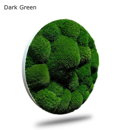 Farbauffrischung Dark Green Pflegespray Moosbilder 500ml für konserviertes Moos mit Farbbrillanz.