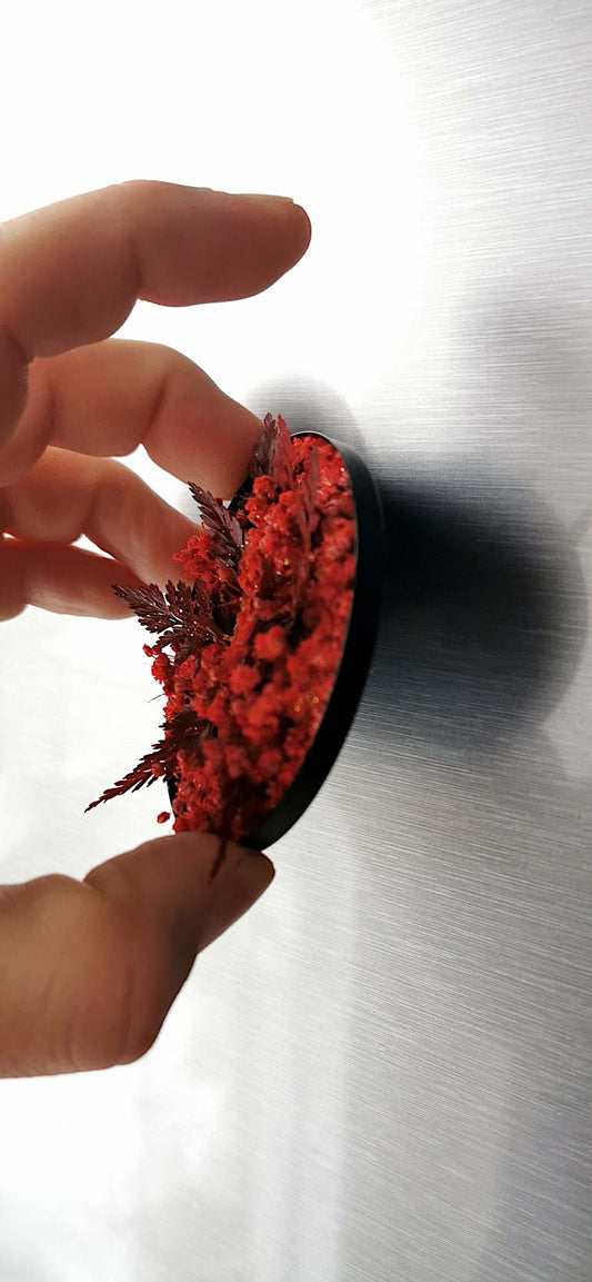Hand placing the 'Red Star' Christmas plant art on a magnetic surface, showcasing dried flowers and preserved ferns.