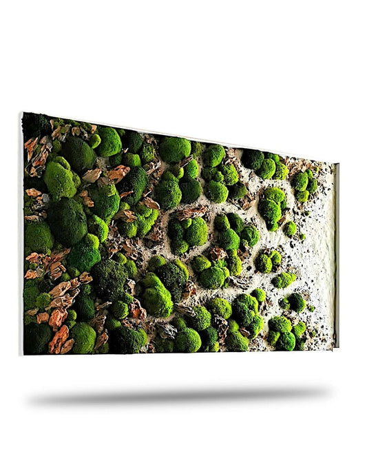 Moosbild Steinbild "Drachenpfade Dracarys" mit grünen Mooslandschaften und Drachensteinen für Wandkunst.