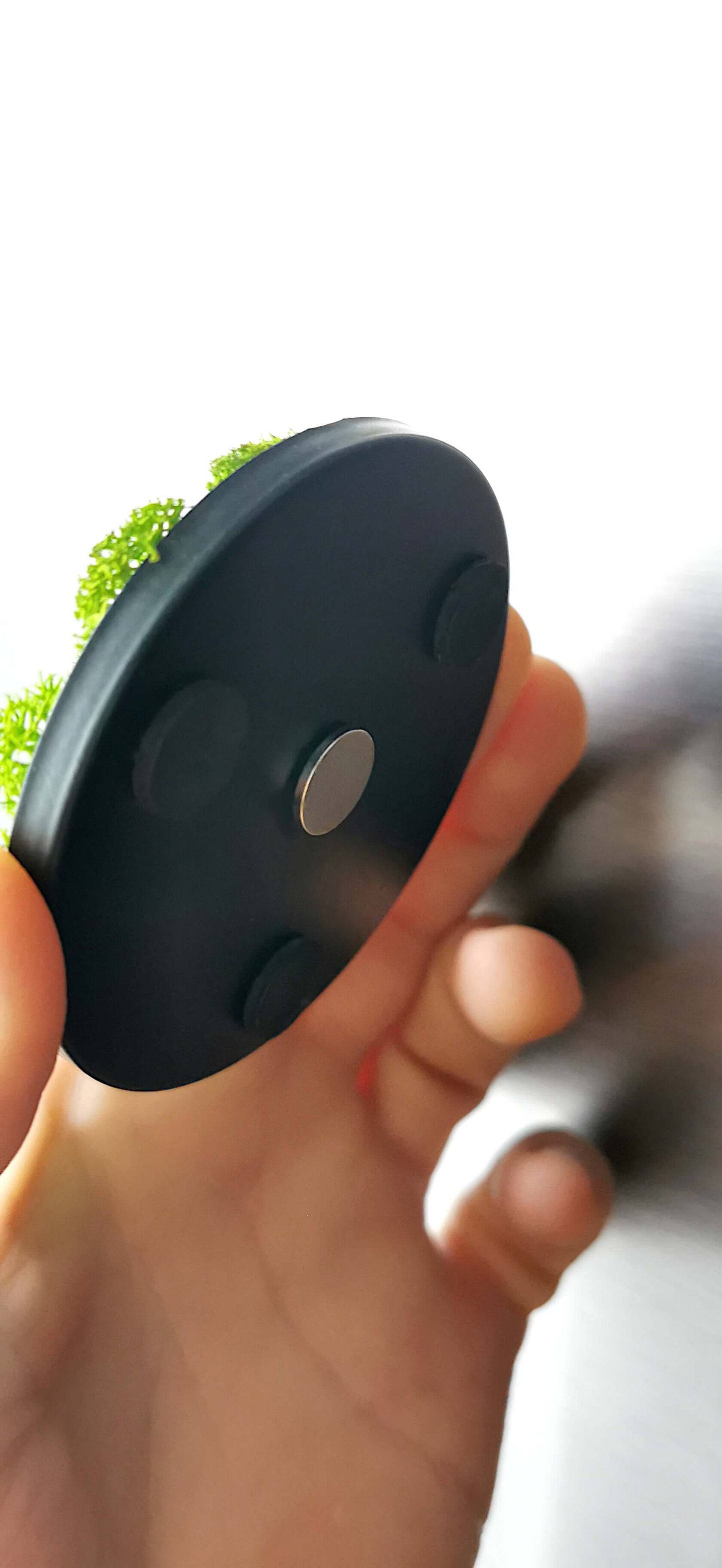 Rückseite des kleinen Moosbildes mit Magnet zur Verwendung als Wandbild oder Kühlschrankmagnet.