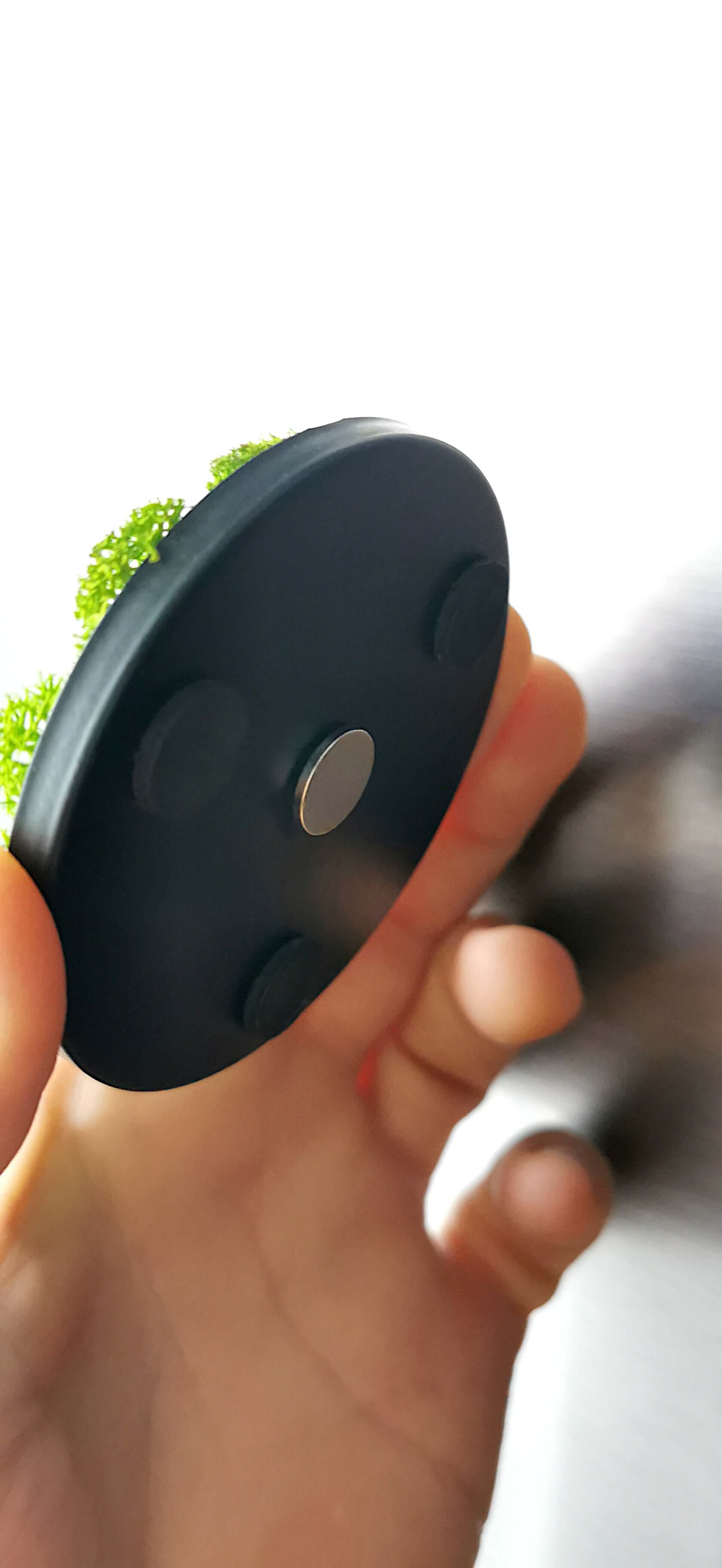 Rückseite des kleinen Moosbildes mit Magnet zur Verwendung als Wandbild oder Kühlschrankmagnet.