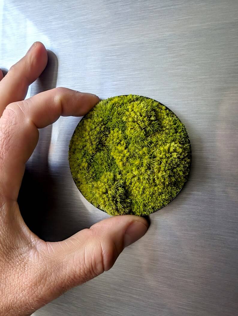 Person holding a small round magnetic moss picture 'Little Hills' on a refrigerator.