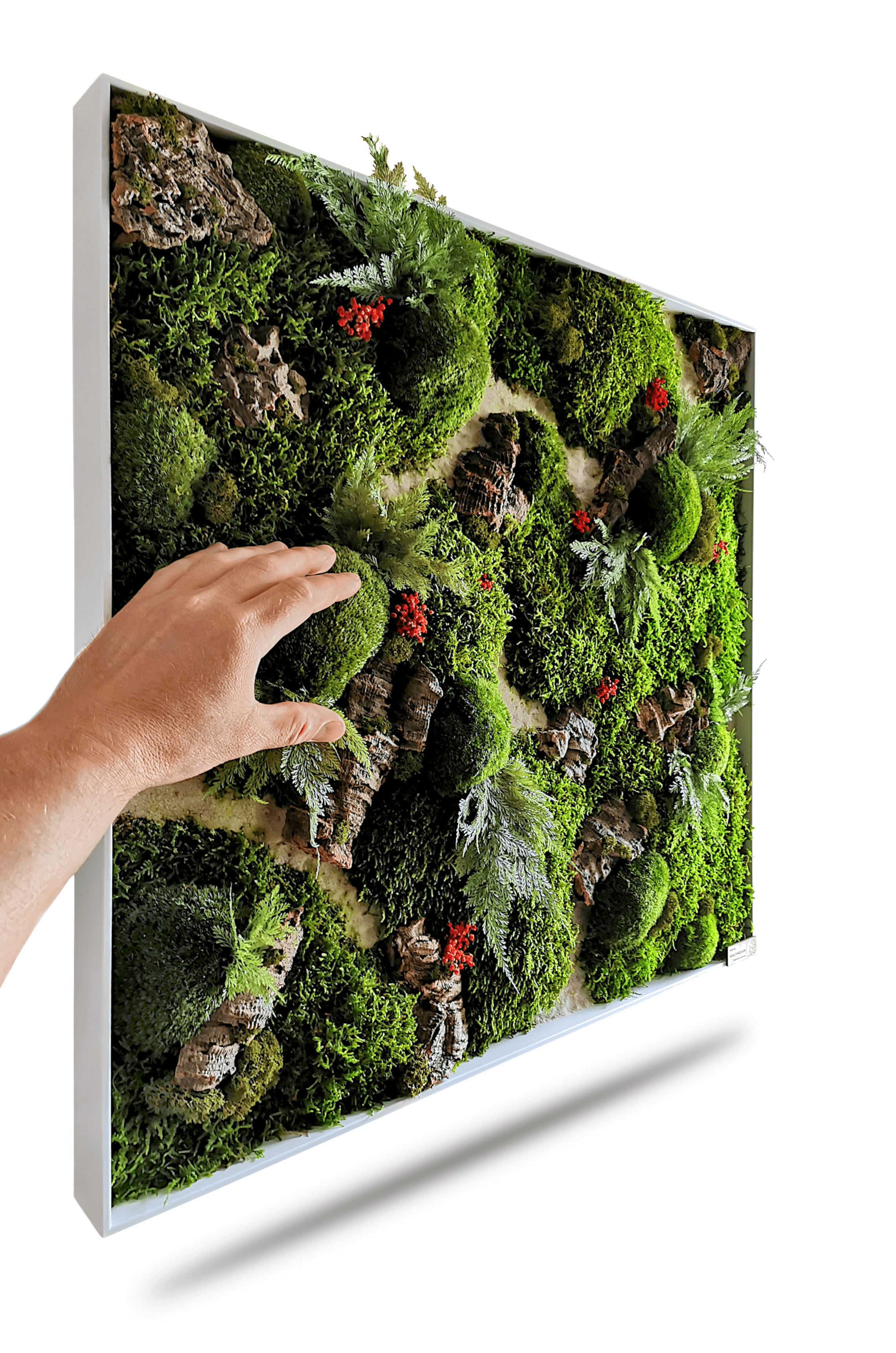 Quadratisches Moosbild "Red Aronia" mit Moos, Kork und bunten Blumen, Hand berührt die natürliche Kunst.