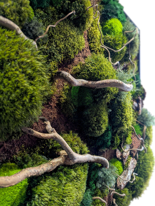 Handcrafted moosbild 'Waldspaziergang' with corkscrew hazel twigs, showcasing lush green moss and natural textures.