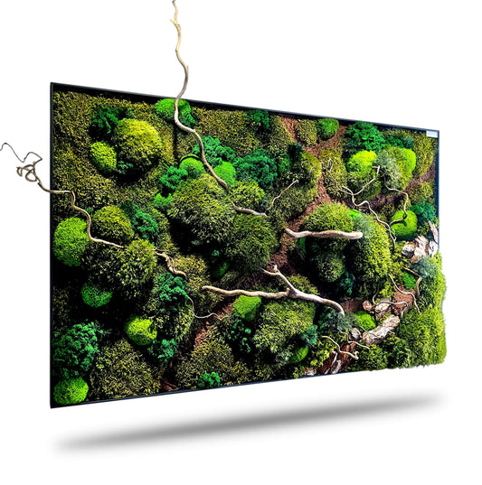 Handcrafted moss picture "Waldspaziergang" with corkscrew hazel branches in modern frame.