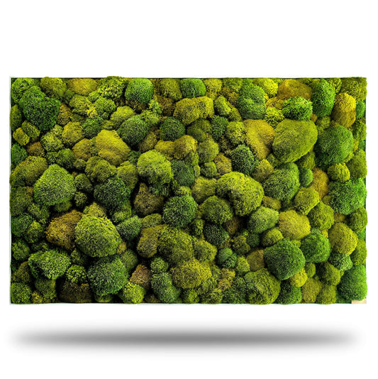 Moosbild XXL "Green Hills" mit lebendigem, pflegeleichtem Moosmix für Wohnzimmer und Küche.