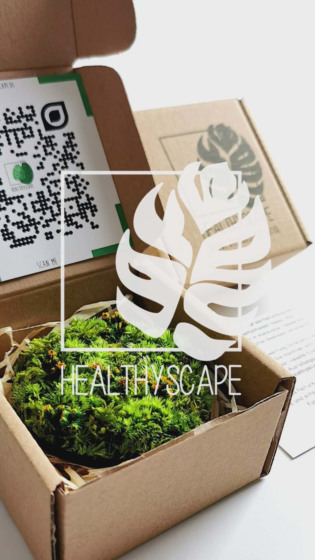 Load video: Kleines Moosbild &#39;Löwenzahn&#39; in Verpackung von HEALTHIVSCAPE, mit QR-Code und grüner Deko.