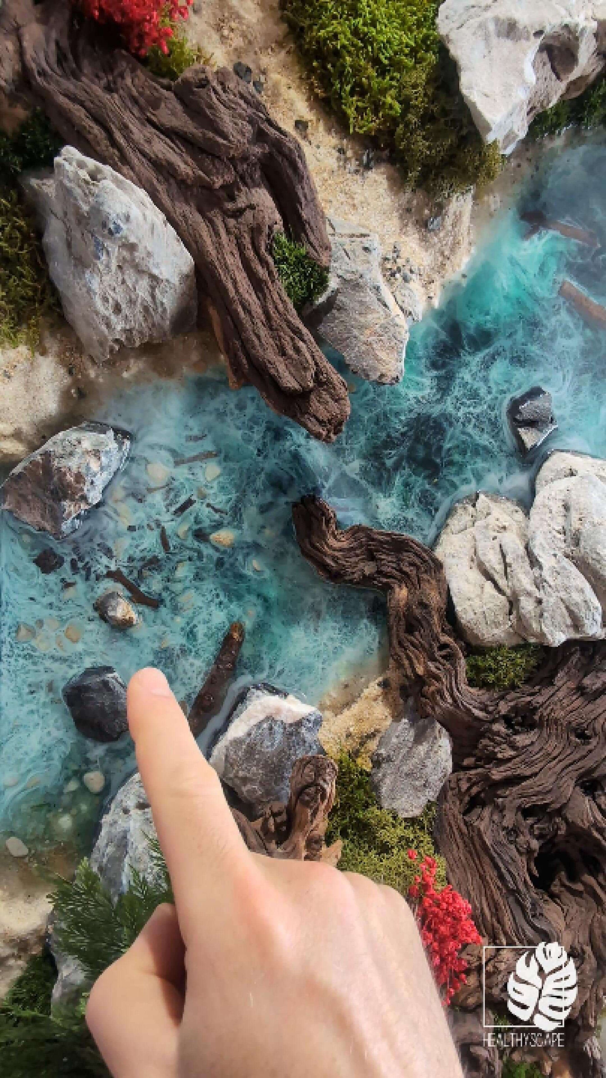 Moosbild Redaronia Flussbett