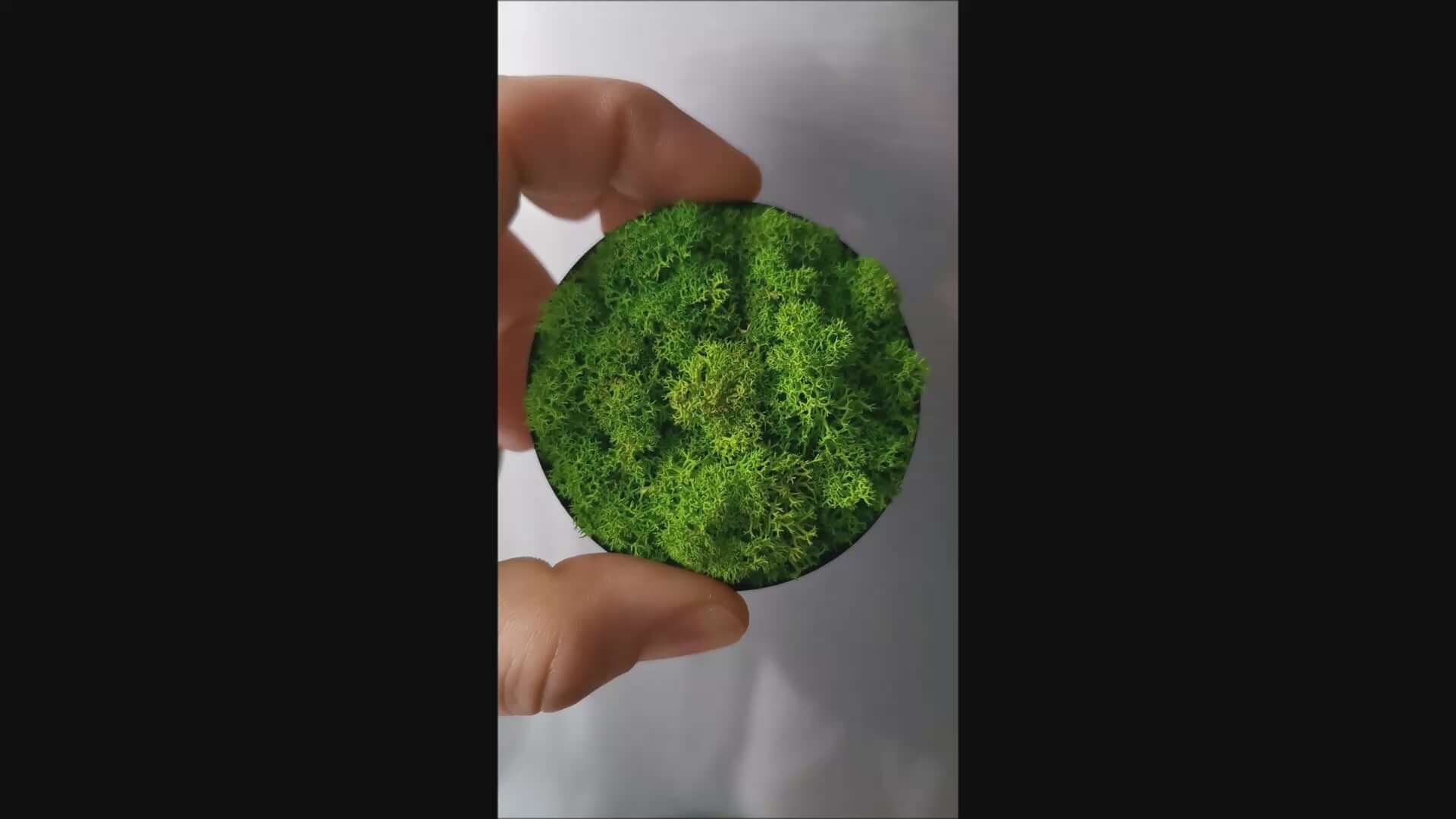 Kleines Moosbild Rentiermoose "Green Lichen" in Hand mit magnetischer Rückseite, ideal für Wand oder Kühlschrank.
