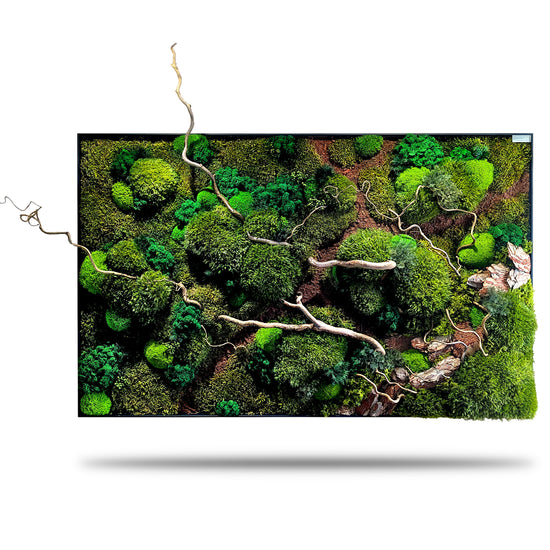 Moosbild mit Haselzweigen